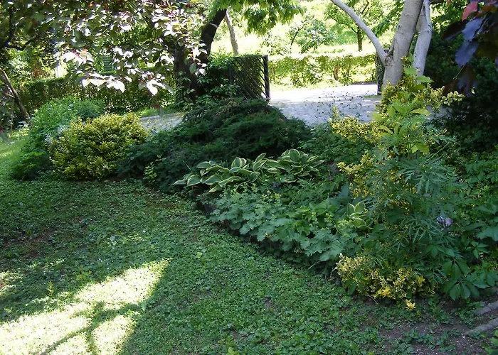 Marko Πανσιόν