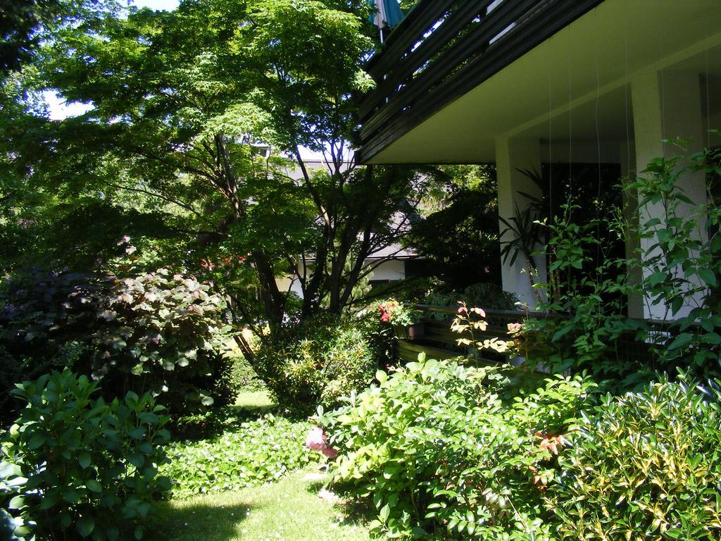 Guesthouse Marko